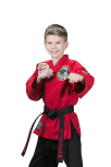 Lewis Martial Arts logo